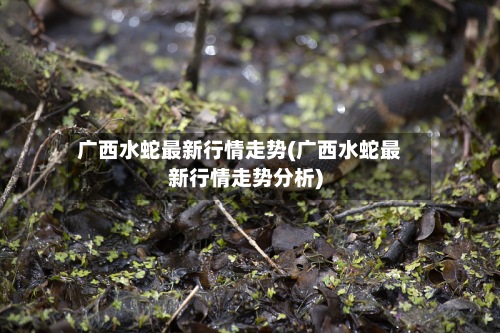 广西水蛇最新行情走势(广西水蛇最新行情走势分析)-第3张图片