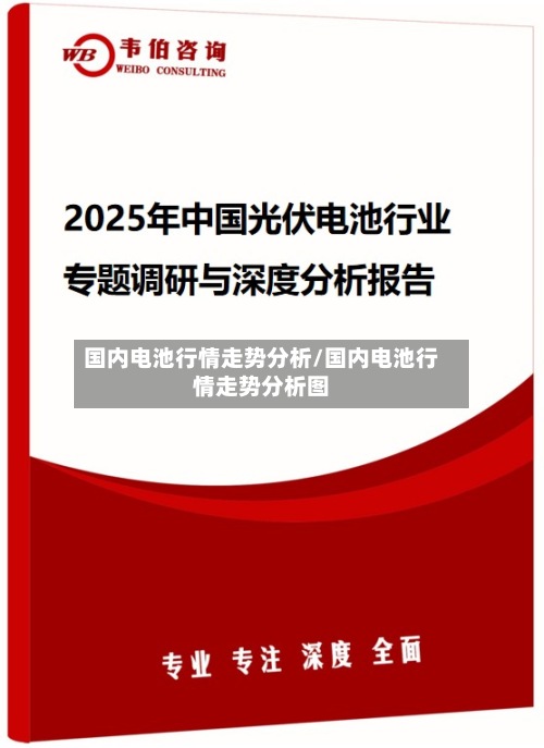国内电池行情走势分析/国内电池行情走势分析图