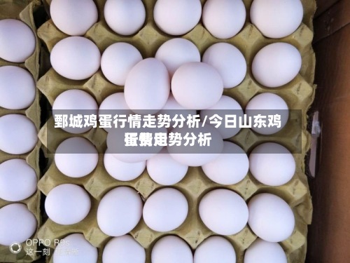鄄城鸡蛋行情走势分析/今日山东鸡蛋费用行情走势分析-第2张图片