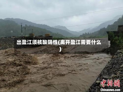 出盈江须核酸阴性(离开盈江需要什么)