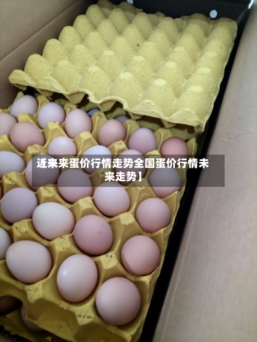 近来【未来蛋价行情走势全国蛋价行情未来走势】-第3张图片