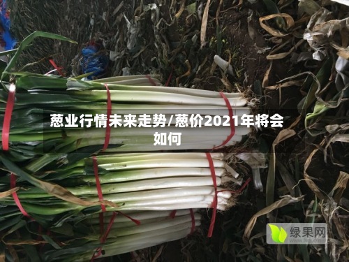 葱业行情未来走势/葱价2021年将会如何