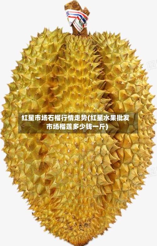 红星市场石榴行情走势(红星水果批发市场榴莲多少钱一斤)-第2张图片