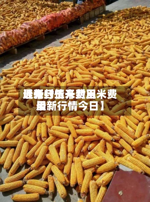 近来【开封玉米费用最新行情开封玉米费用最新行情今日】