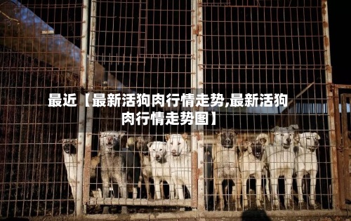最近【最新活狗肉行情走势,最新活狗肉行情走势图】