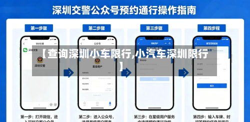 【查询深圳小车限行,小汽车深圳限行】-第3张图片