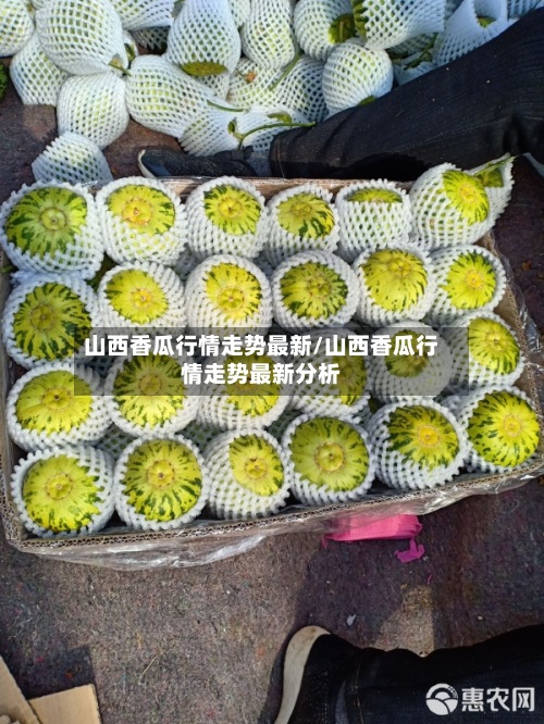 山西香瓜行情走势最新/山西香瓜行情走势最新分析