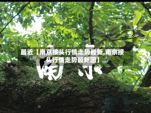 最近【南京接头行情走势最新,南京接头行情走势最新图】