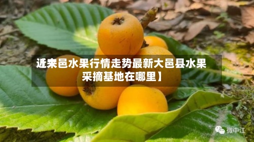 近来【大邑水果行情走势最新大邑县水果采摘基地在哪里】
