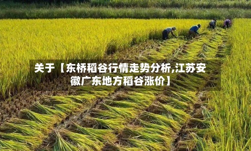 关于【东桥稻谷行情走势分析,江苏安徽广东地方稻谷涨价】