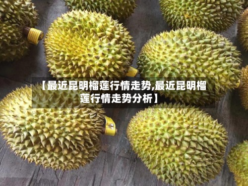 【最近昆明榴莲行情走势,最近昆明榴莲行情走势分析】-第3张图片