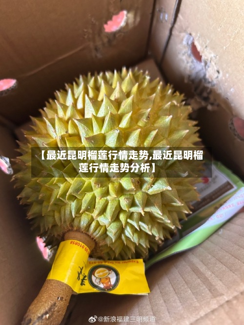 【最近昆明榴莲行情走势,最近昆明榴莲行情走势分析】-第2张图片