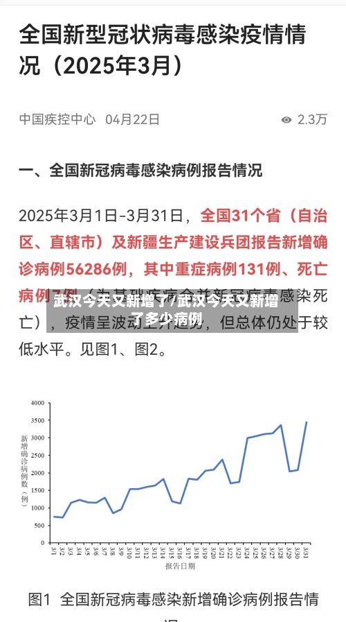 武汉今天又新增了/武汉今天又新增了多少病例