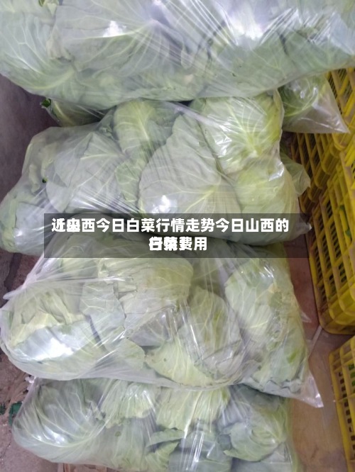近来【山西今日白菜行情走势今日山西的白菜费用行情】-第3张图片