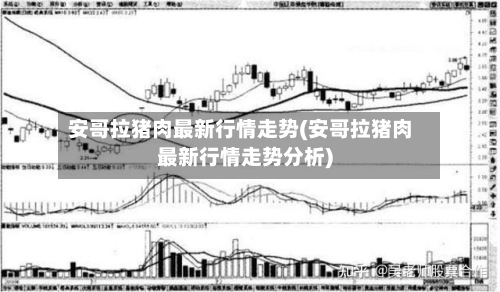 安哥拉猪肉最新行情走势(安哥拉猪肉最新行情走势分析)