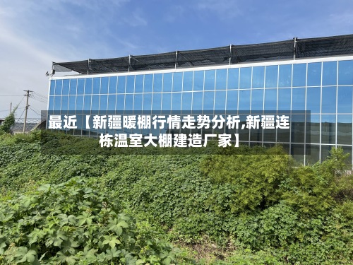 最近【新疆暖棚行情走势分析,新疆连栋温室大棚建造厂家】