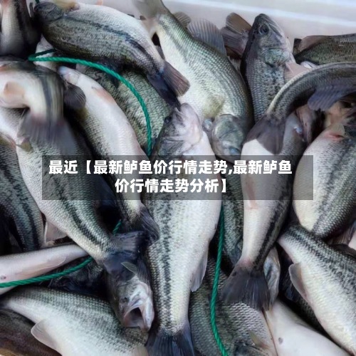最近【最新鲈鱼价行情走势,最新鲈鱼价行情走势分析】-第3张图片