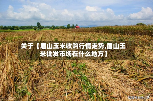 关于【眉山玉米收购行情走势,眉山玉米批发市场在什么地方】-第2张图片
