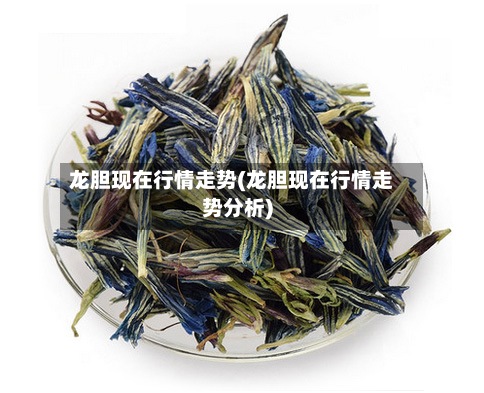 龙胆现在行情走势(龙胆现在行情走势分析)