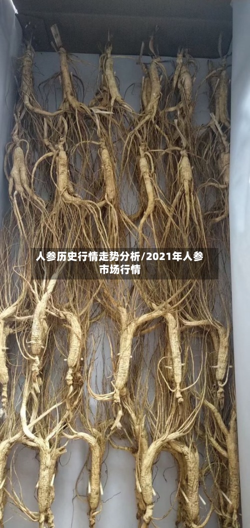 人参历史行情走势分析/2021年人参市场行情