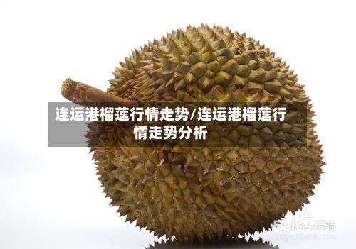 连运港榴莲行情走势/连运港榴莲行情走势分析