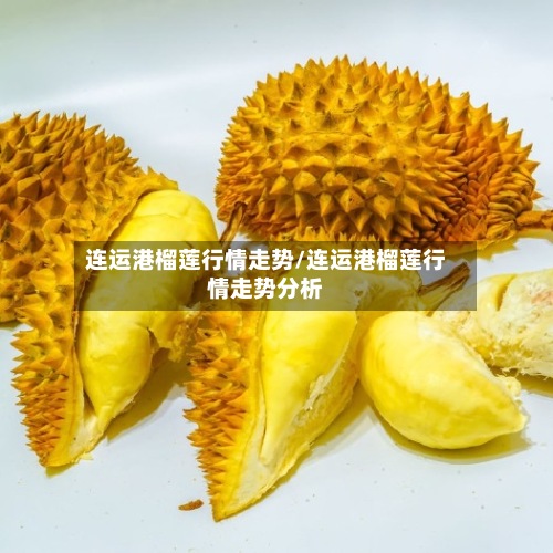 连运港榴莲行情走势/连运港榴莲行情走势分析-第2张图片