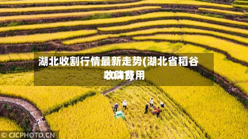 湖北收割行情最新走势(湖北省稻谷收购费用2021)-第2张图片