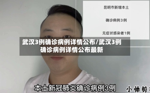 武汉3例确诊病例详情公布/武汉3例确诊病例详情公布最新-第2张图片