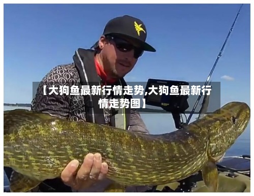【大狗鱼最新行情走势,大狗鱼最新行情走势图】