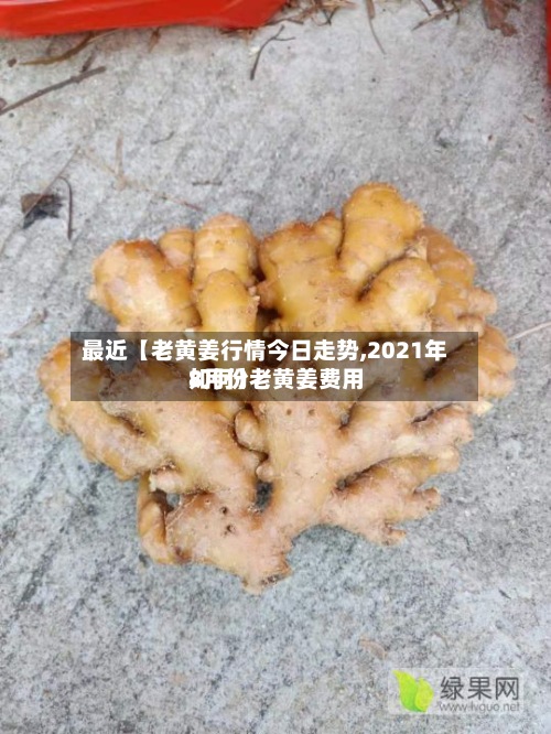 最近【老黄姜行情今日走势,2021年8月份老黄姜费用
如何】