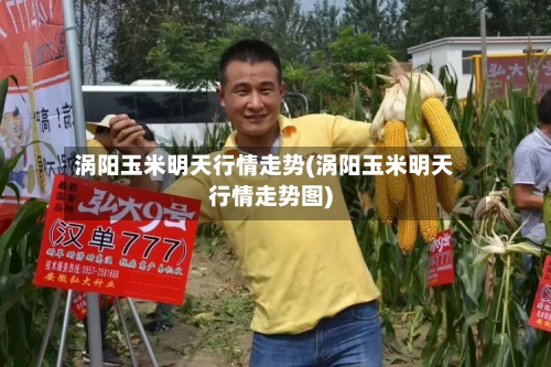 涡阳玉米明天行情走势(涡阳玉米明天行情走势图)