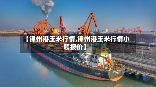 【锦州港玉米行情,锦州港玉米行情小颖报价】-第3张图片