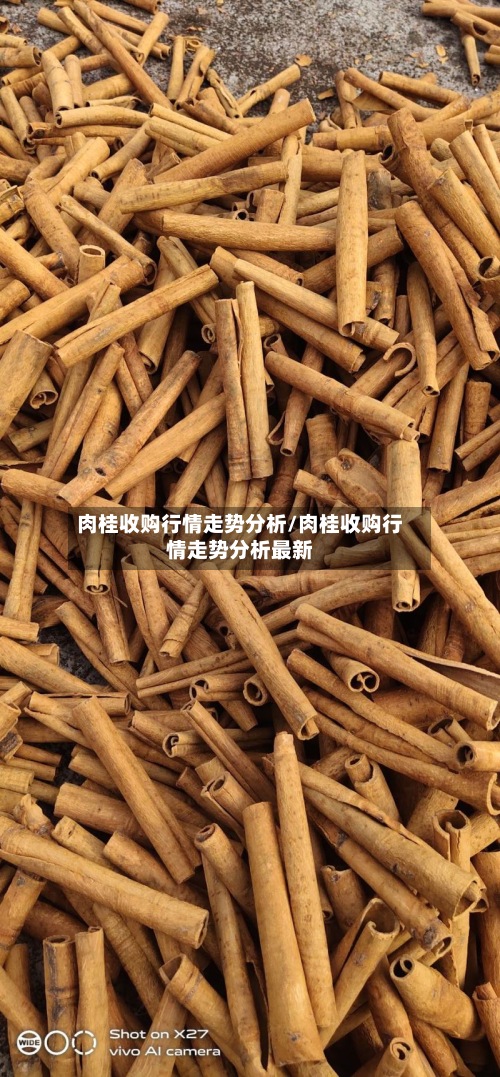 肉桂收购行情走势分析/肉桂收购行情走势分析最新-第3张图片