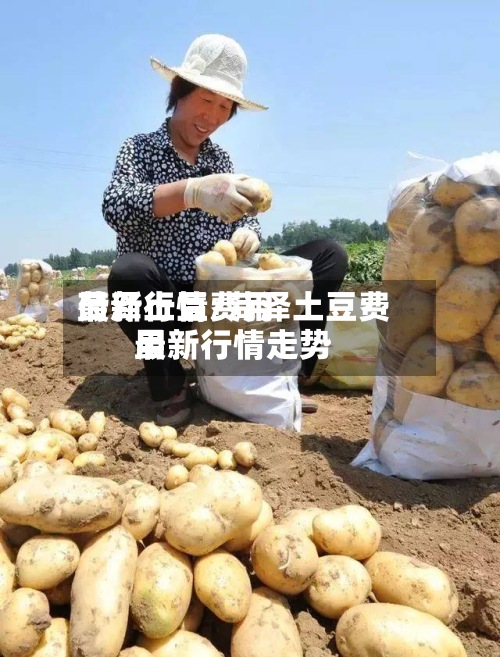菏泽土豆费用最新行情/菏泽土豆费用最新行情走势-第2张图片