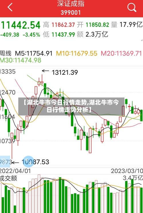 【湖北牛市今日行情走势,湖北牛市今日行情走势分析】