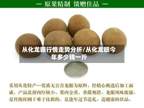 从化龙眼行情走势分析/从化龙眼今年多少钱一斤-第3张图片