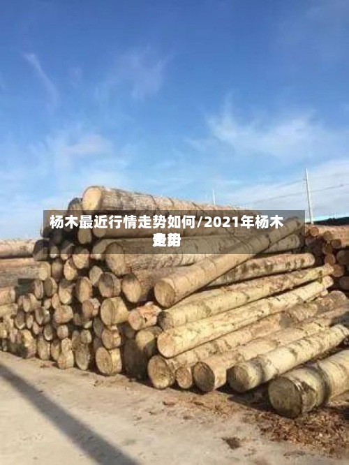 杨木最近行情走势如何/2021年杨木费用走势-第2张图片