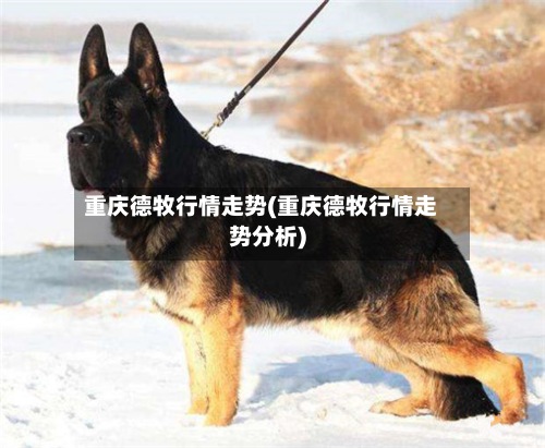 重庆德牧行情走势(重庆德牧行情走势分析)-第2张图片