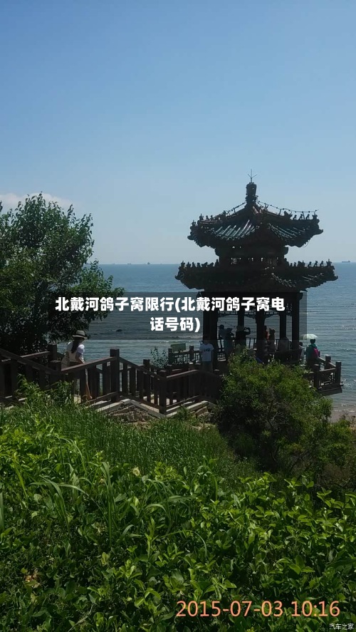 北戴河鸽子窝限行(北戴河鸽子窝电话号码)