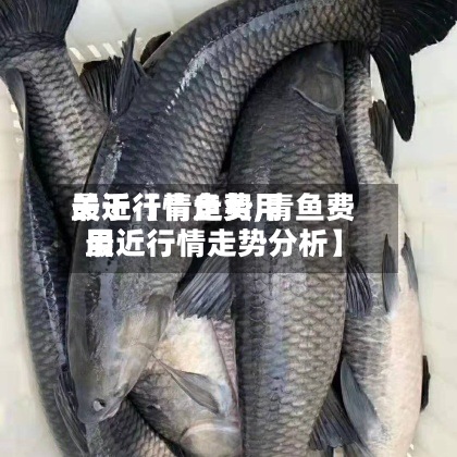 关于【青鱼费用最近行情走势,青鱼费用最近行情走势分析】