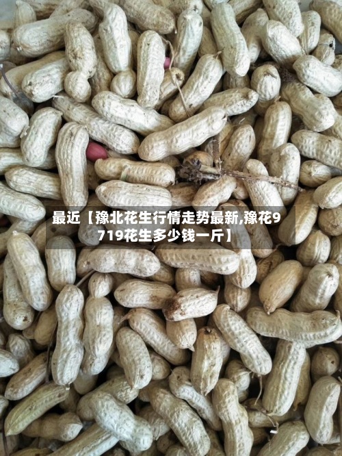 最近【豫北花生行情走势最新,豫花9719花生多少钱一斤】