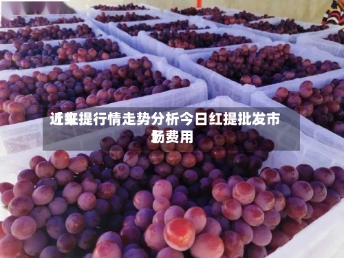 近来
【红提行情走势分析今日红提批发市场费用
】-第2张图片