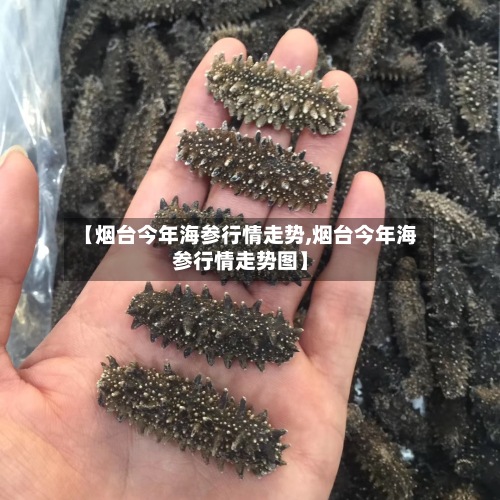 【烟台今年海参行情走势,烟台今年海参行情走势图】-第3张图片