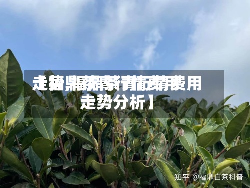 【福鼎茶青行情费用
走势,福鼎茶青行情费用
走势分析】-第2张图片