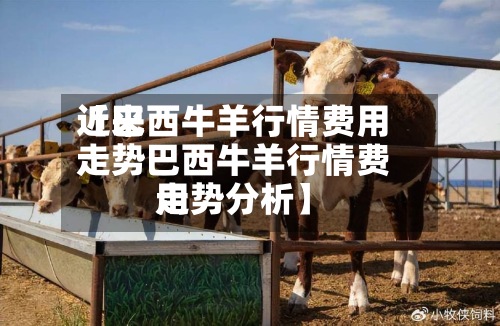 近来【巴西牛羊行情费用走势巴西牛羊行情费用走势分析】