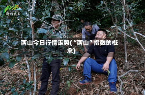 两山今日行情走势(“两山”指数的概念)-第2张图片