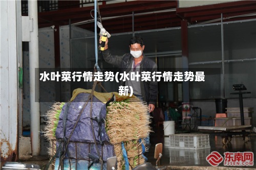 水叶菜行情走势(水叶菜行情走势最新)-第3张图片