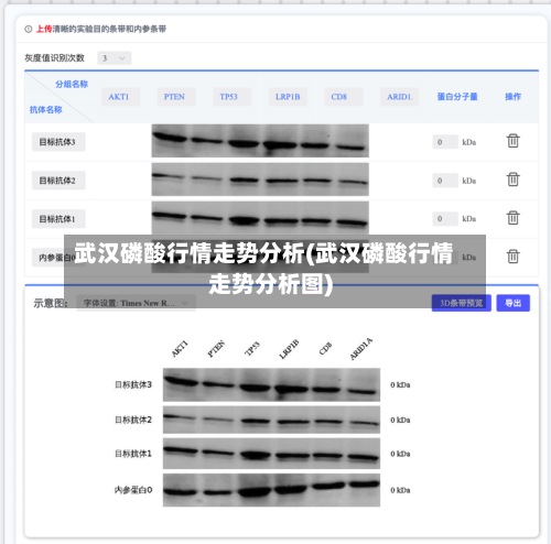 武汉磷酸行情走势分析(武汉磷酸行情走势分析图)