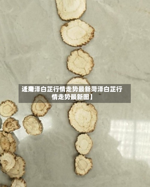 近来【菏泽白芷行情走势最新菏泽白芷行情走势最新图】-第3张图片