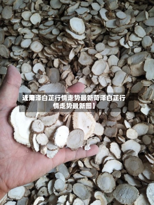 近来【菏泽白芷行情走势最新菏泽白芷行情走势最新图】